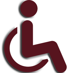 Disabled Students