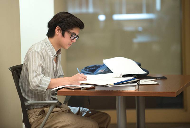 image of student studying