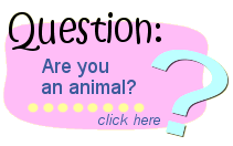 Are you an animal?