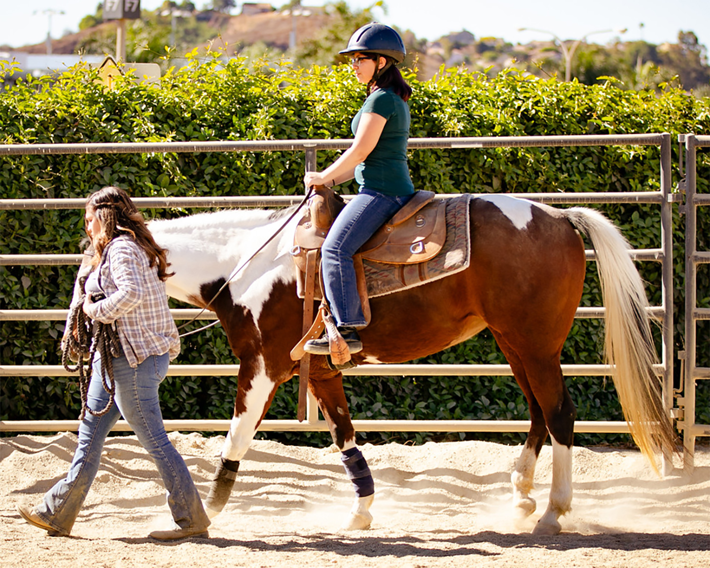 Students work with a horse at the Mt. SAC's Farm.