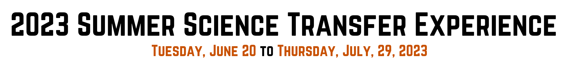 Summer Online Transfer Experience Logo