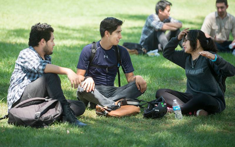 Three friends sit on the lawn.