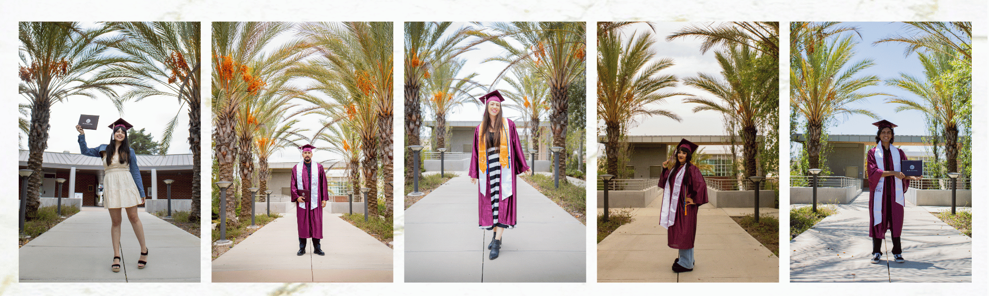 5 images of graduates portraits 