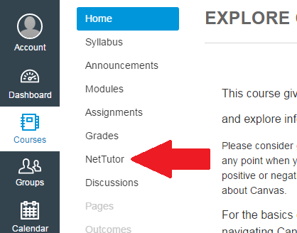 Canvas NetTutor