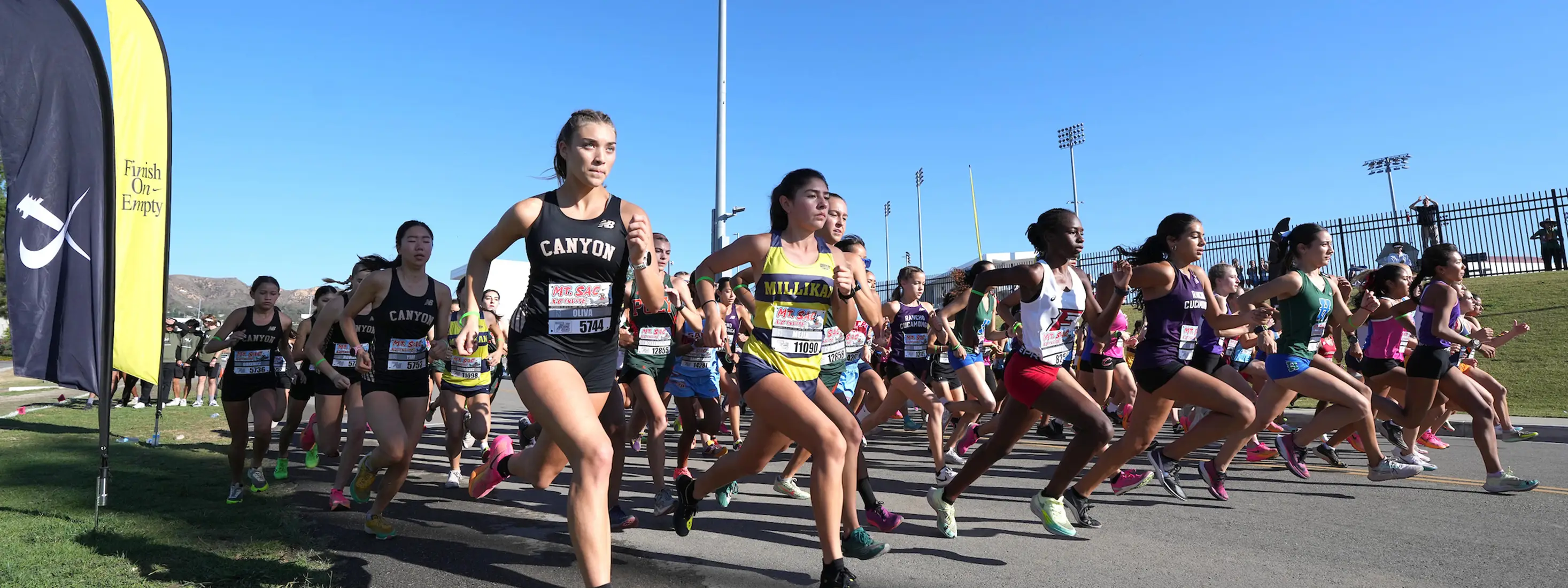 Kinesiology, Athletics, and Dance Division