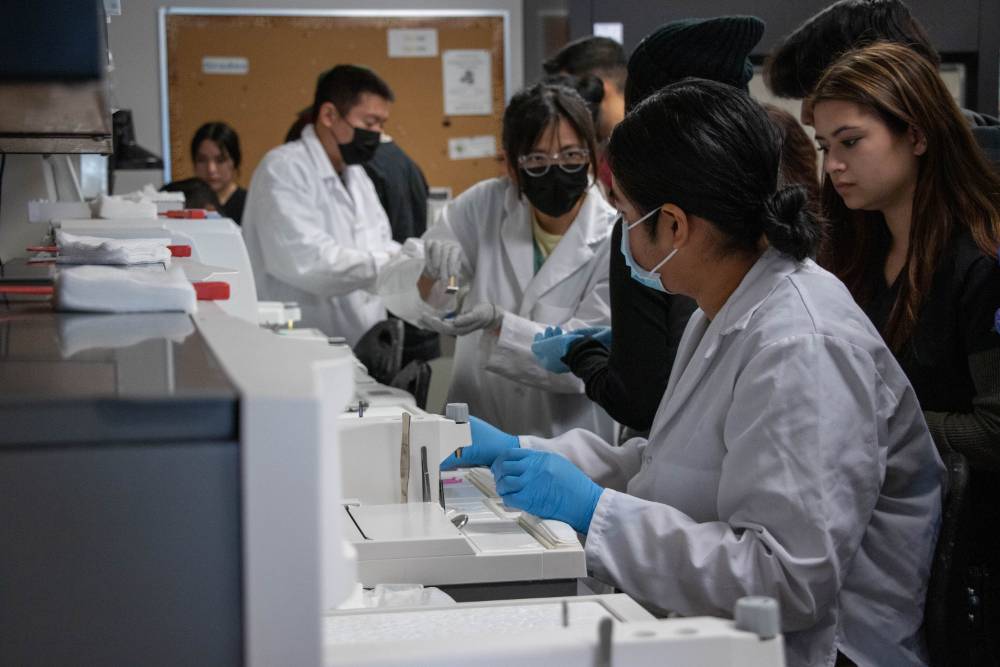 Students in Lab