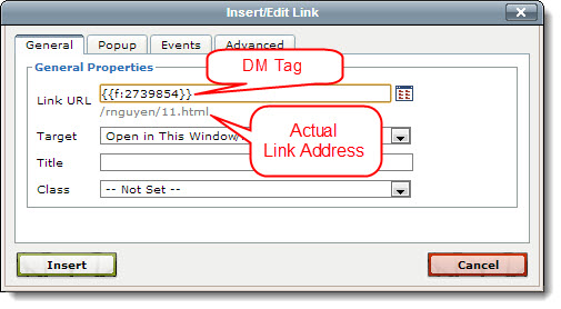 Insert/Edit Link Window showing DM Tag