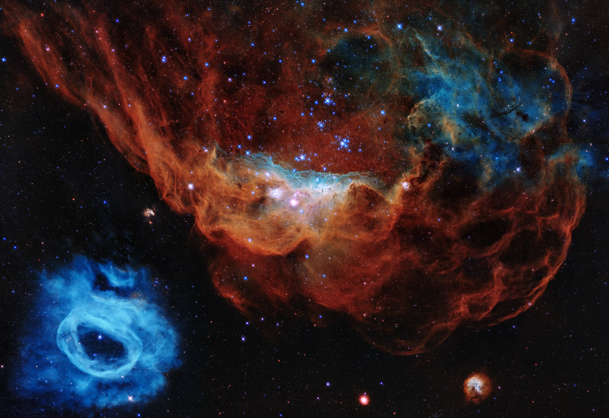 Hubble’s Cosmic Reef