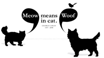 Meow means Woof in cat