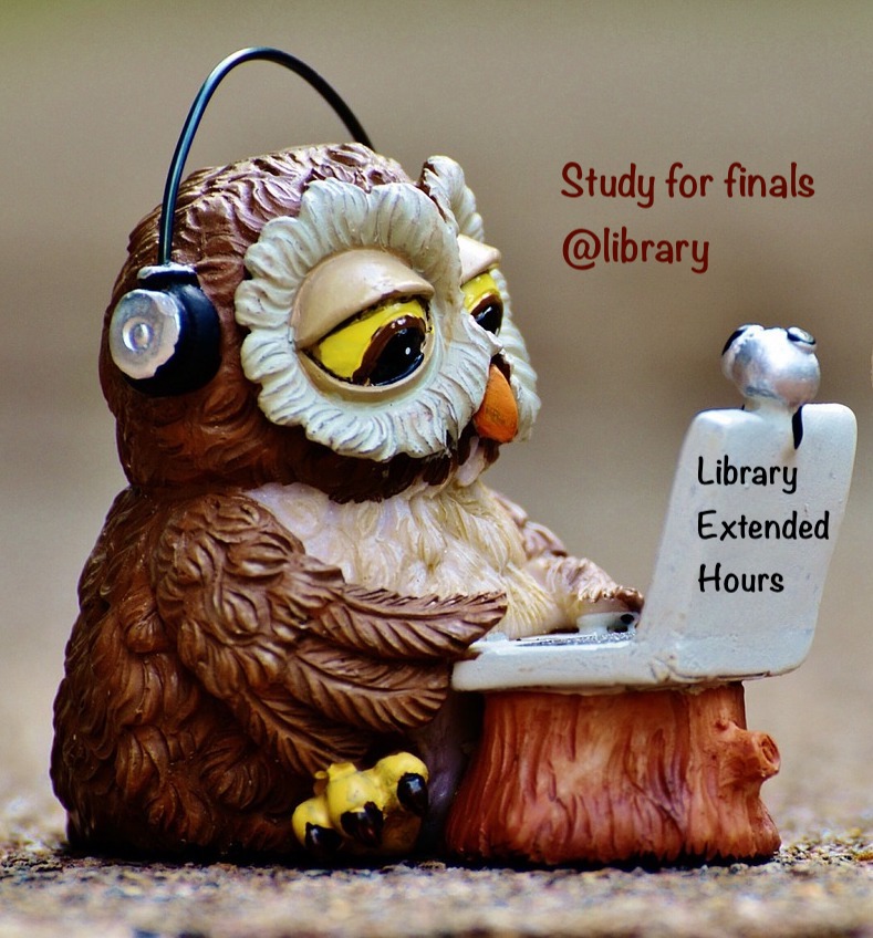 Owl at a computer - study for finals @library, library extended hours
