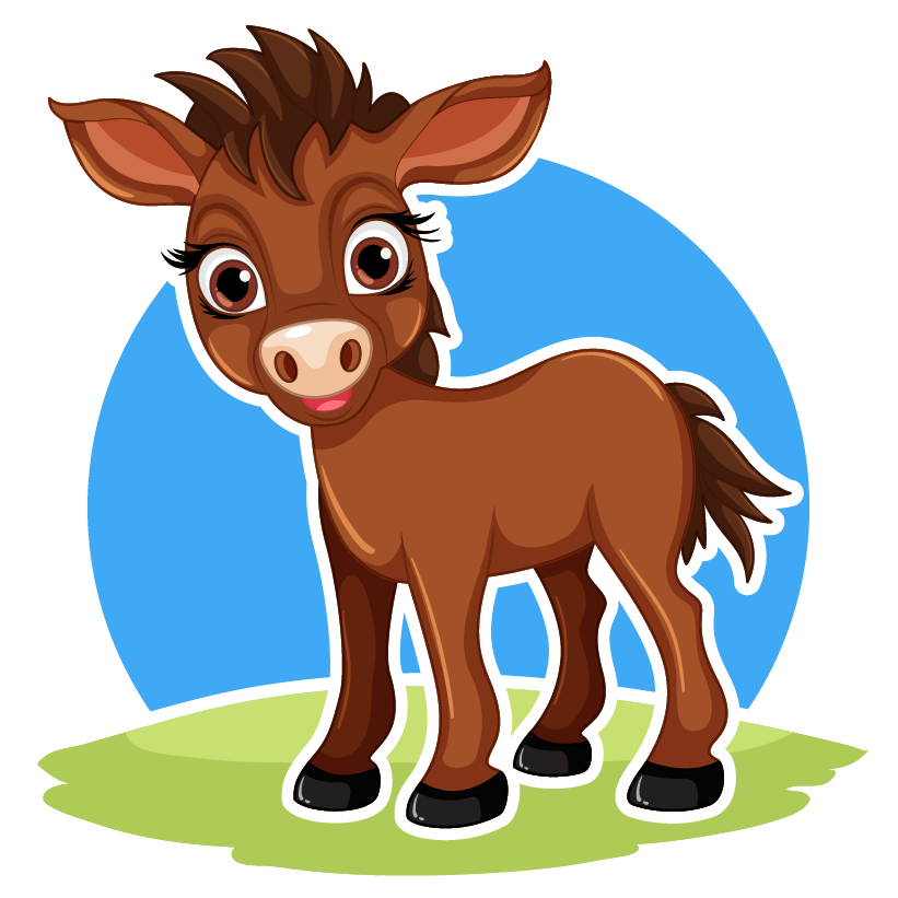 donkey or horse