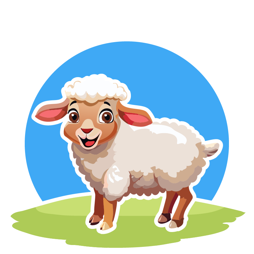 sheep