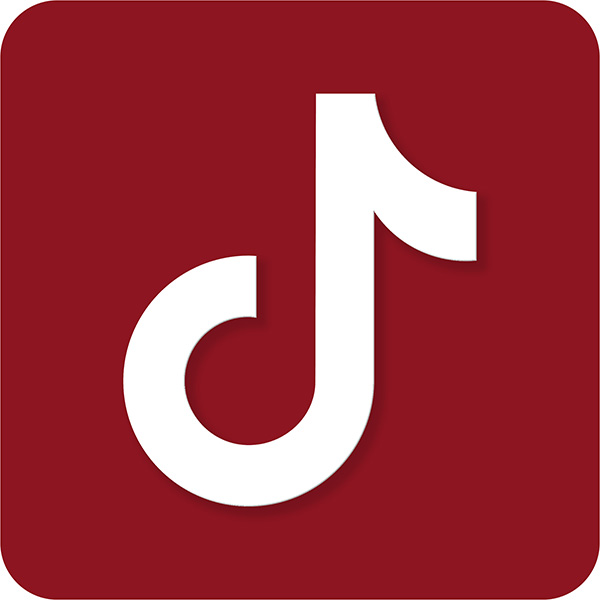 TikTok logo