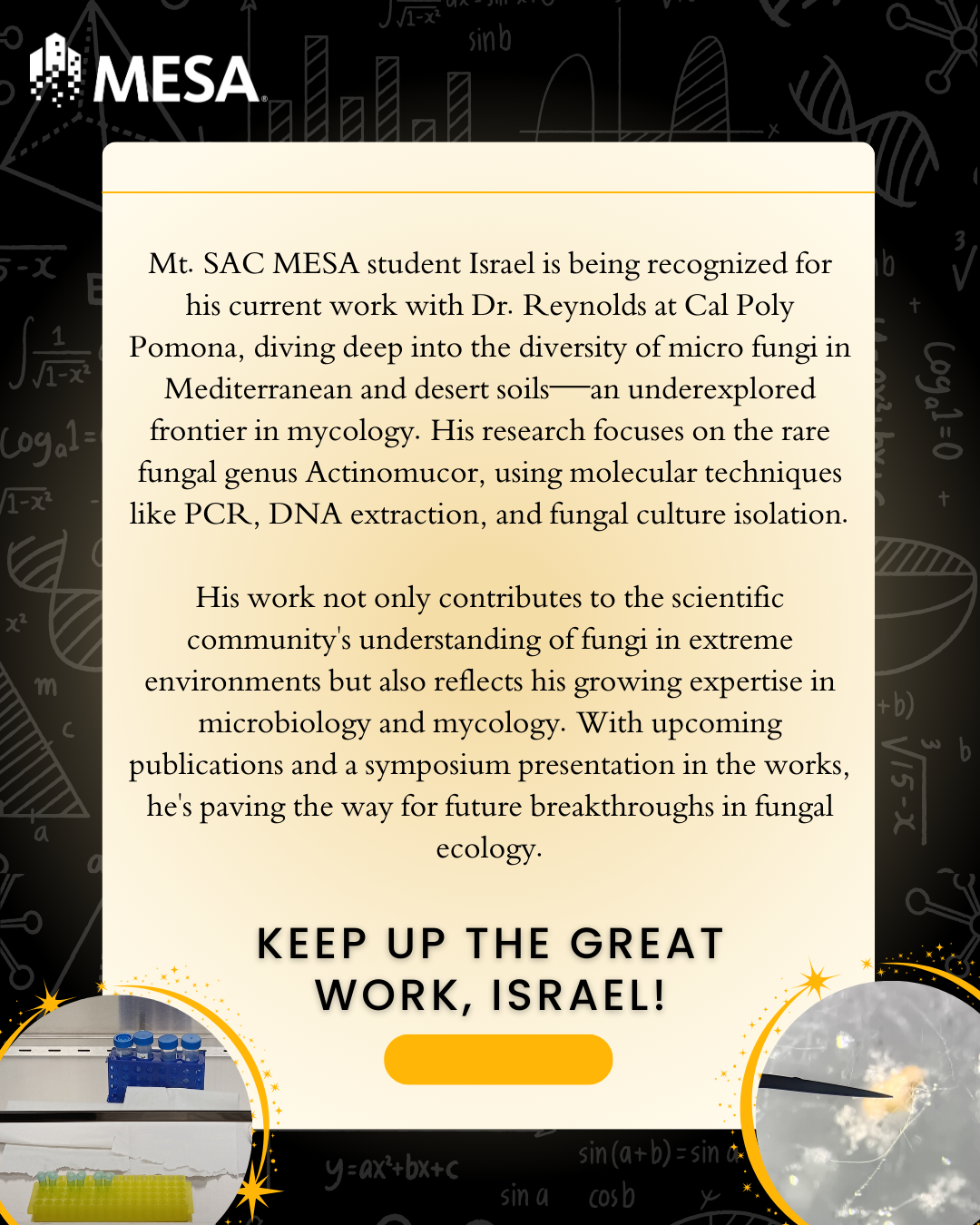 israel