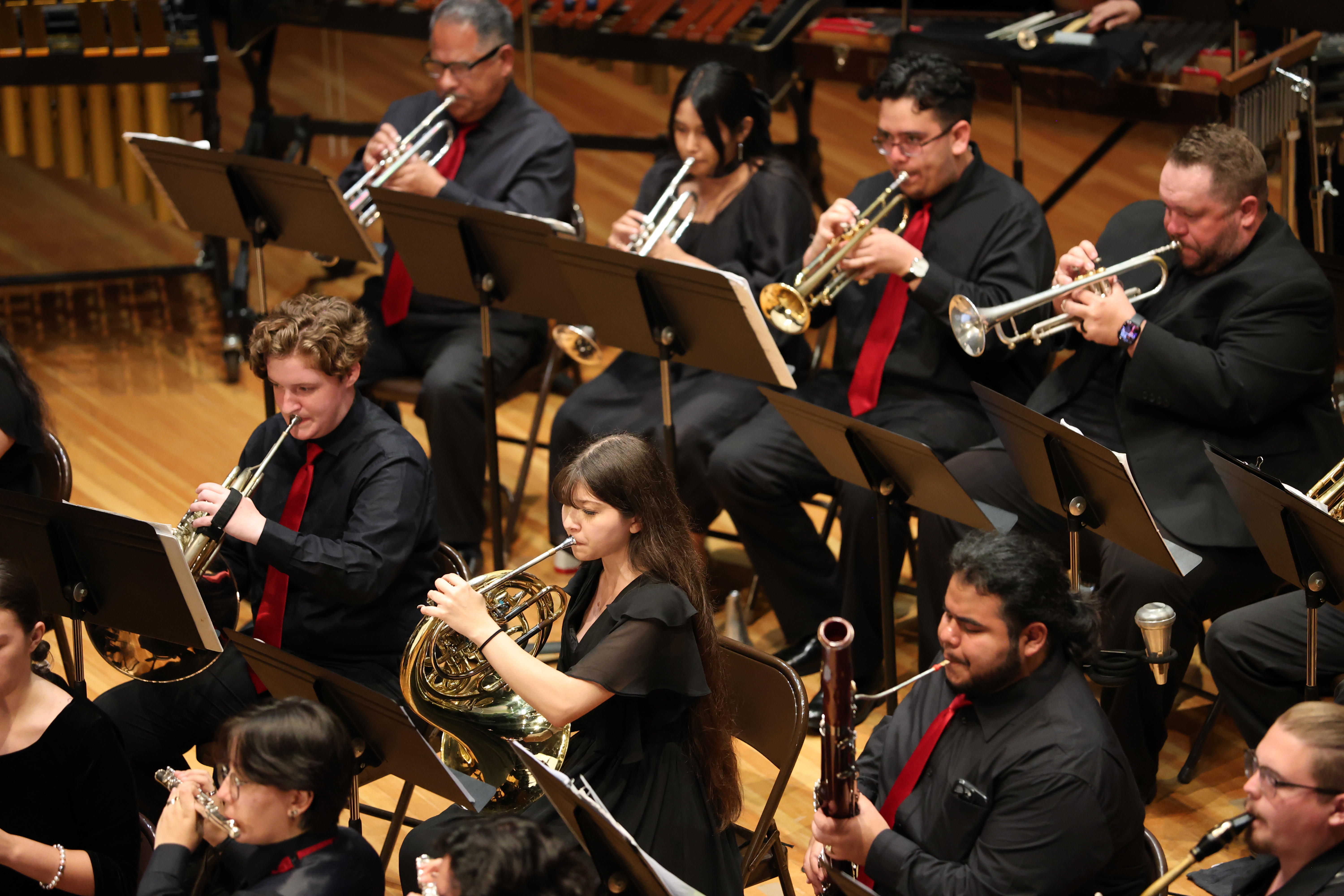 Full band in concert