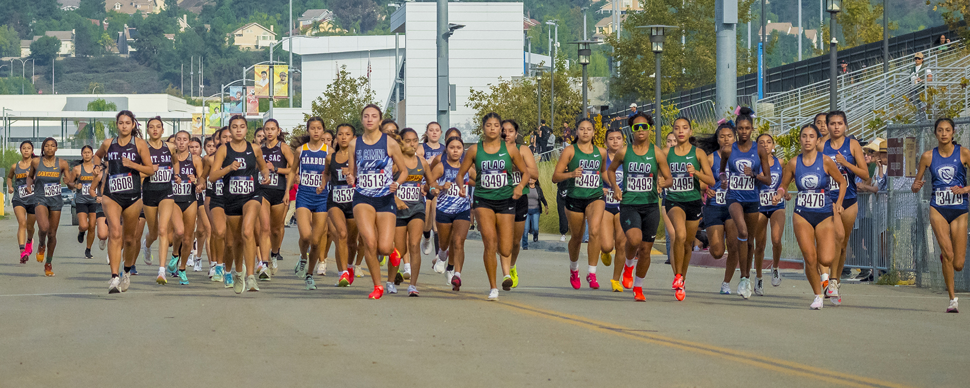 Cross country runners compete at an event at Mt. SAC.