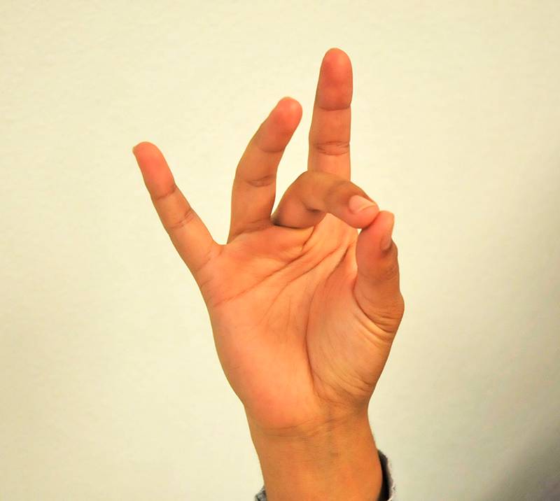 image of a hand doing sign language