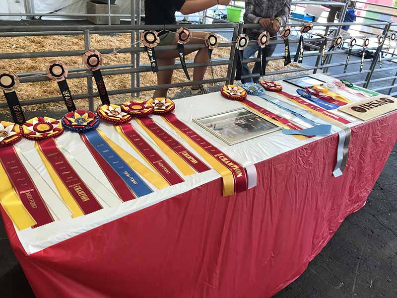 Mt. SAC Horse Show Team medals and awards 