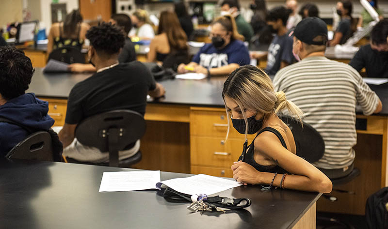 Student reads materials