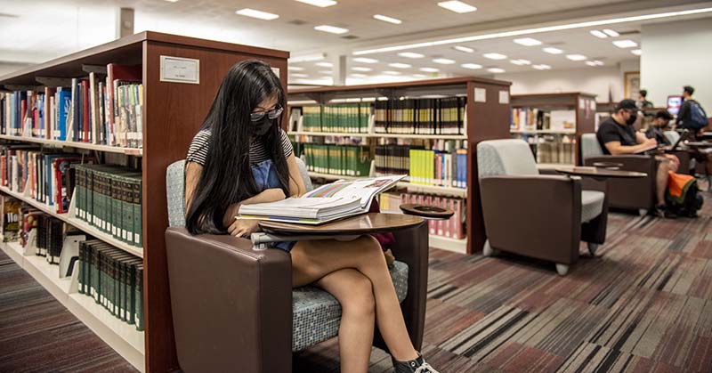 Student studies in Library
