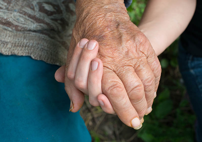 farmworkers hands