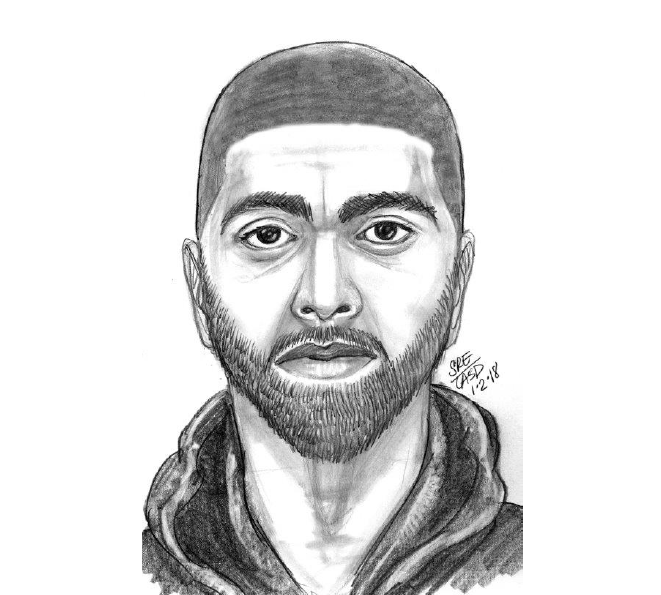 A police sketch of the suspect