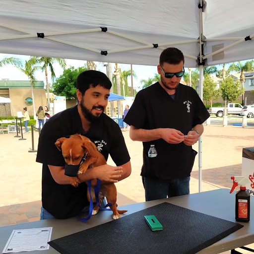 Vet Tech Students Provide Free Microchipping Service