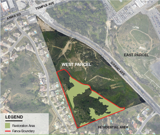 Map of the West Parcel and location of planned work