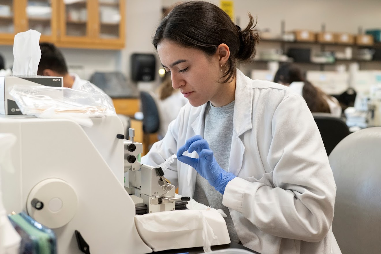 Student with brown hair in bun readies a slide