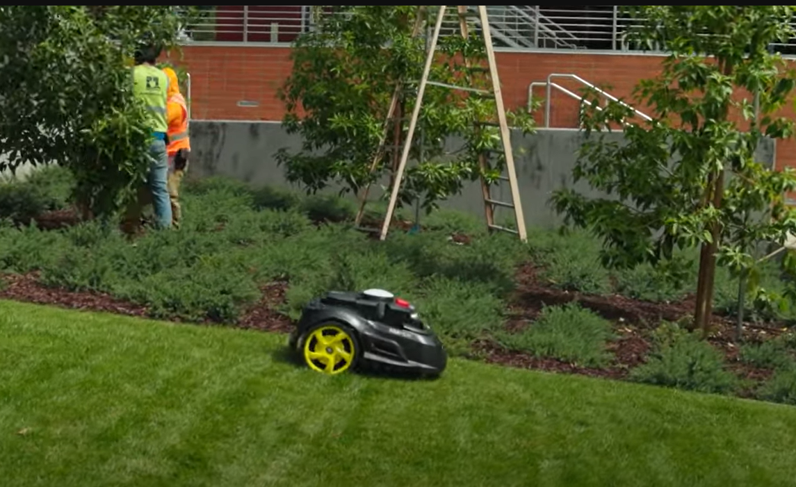 A robotic mower glides along grass while workers tend to a tree