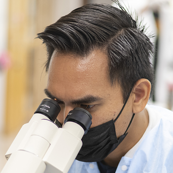 Science student looks into a microscope.