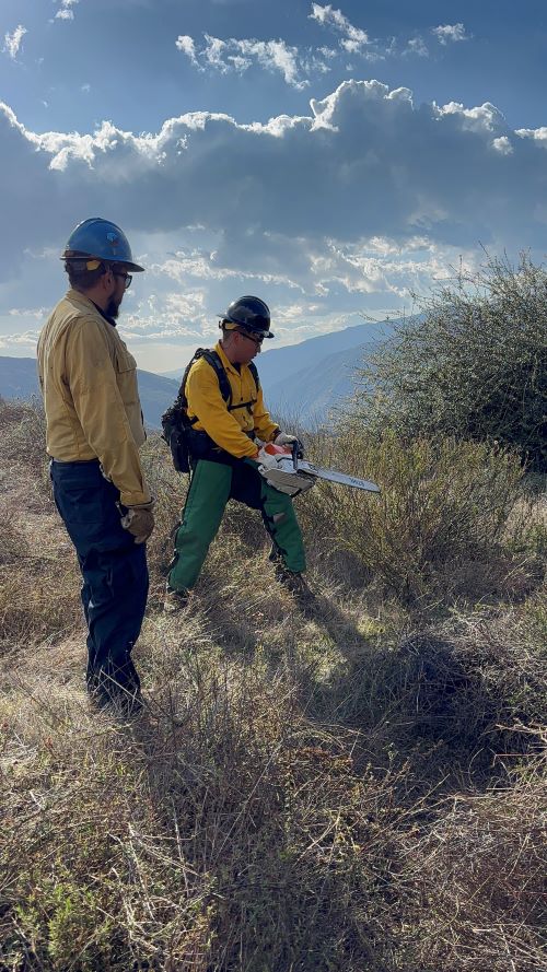 A student uses a chainsaw