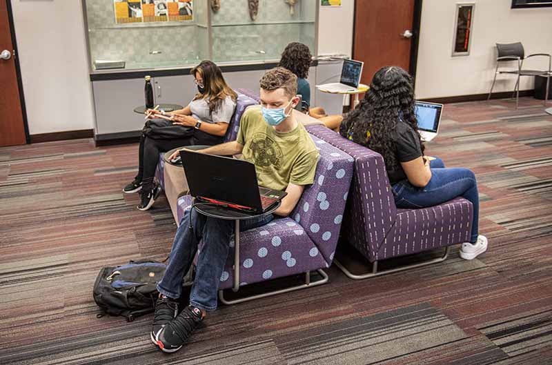 Students study in Library