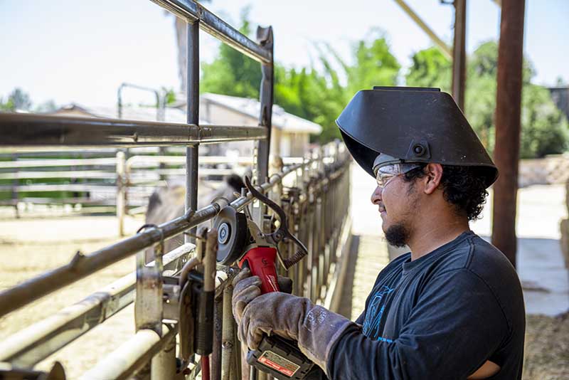 Student repairs livestock pen