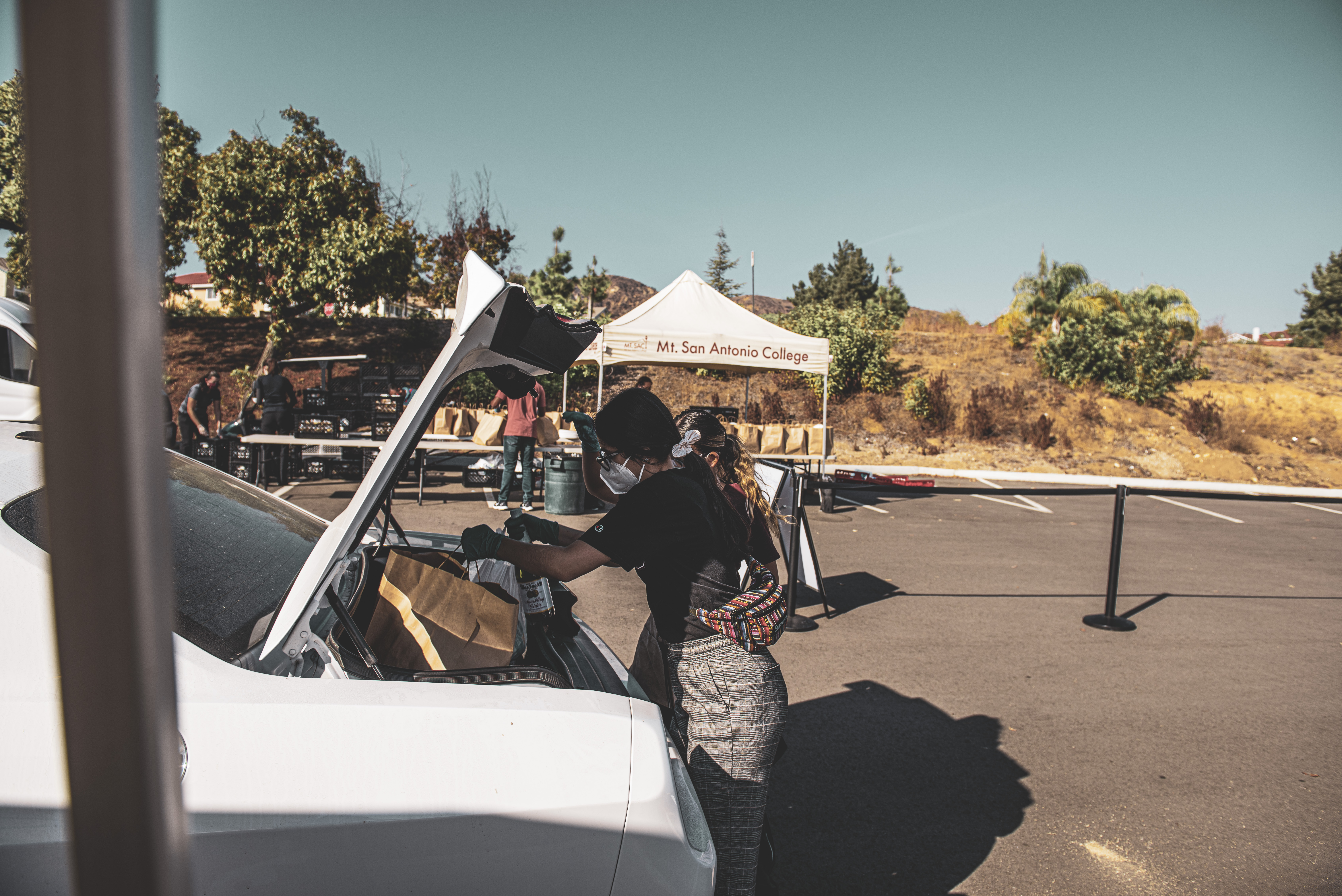 putting groceries in the trunk