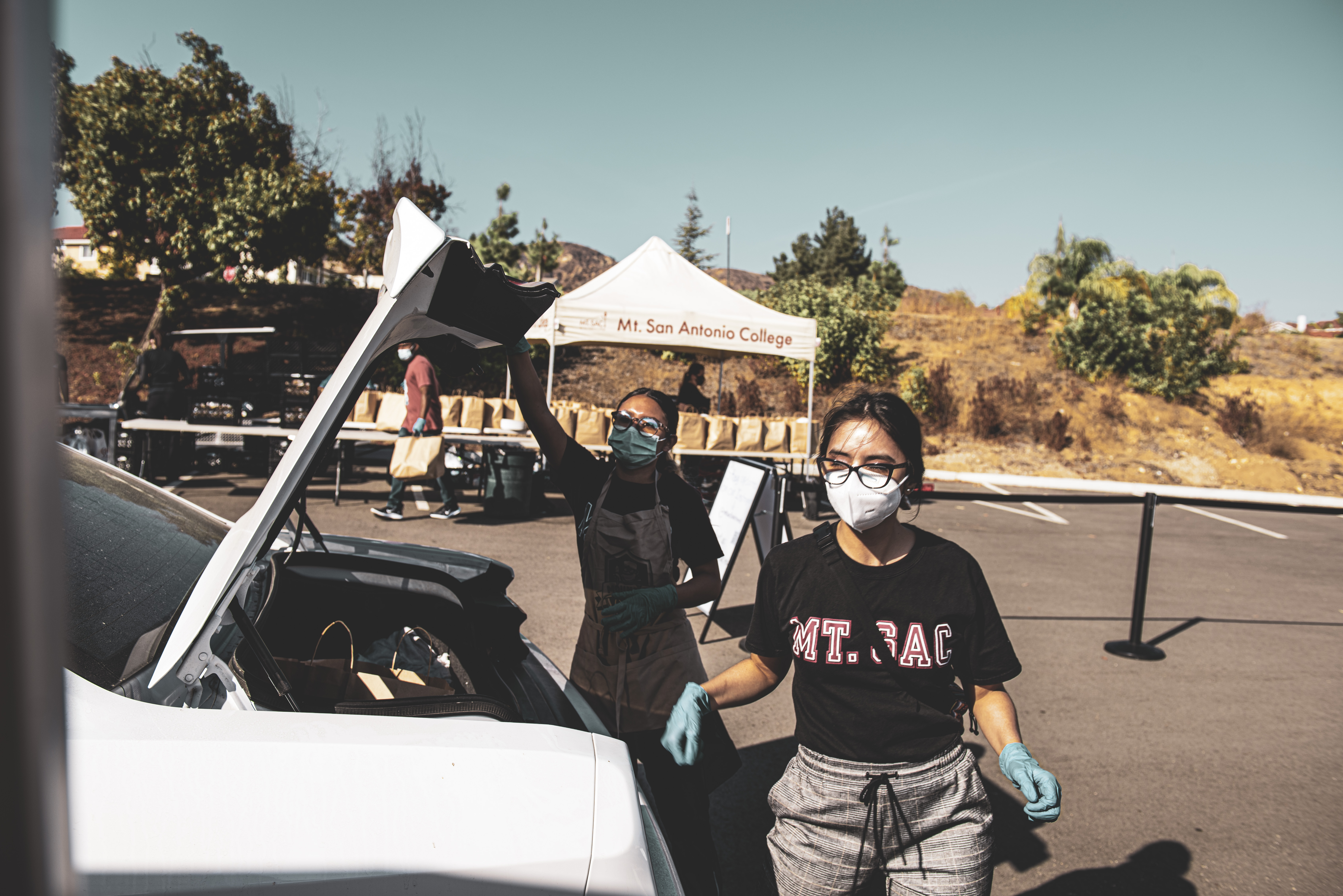 putting groceries in the trunk