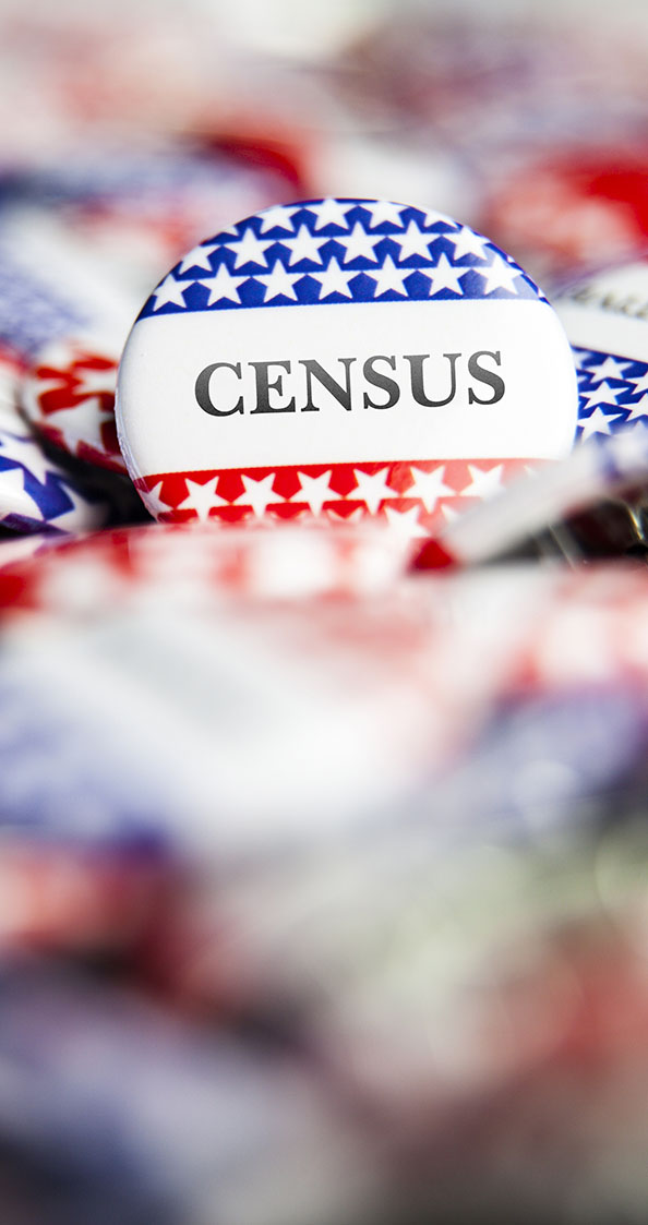 Census pins