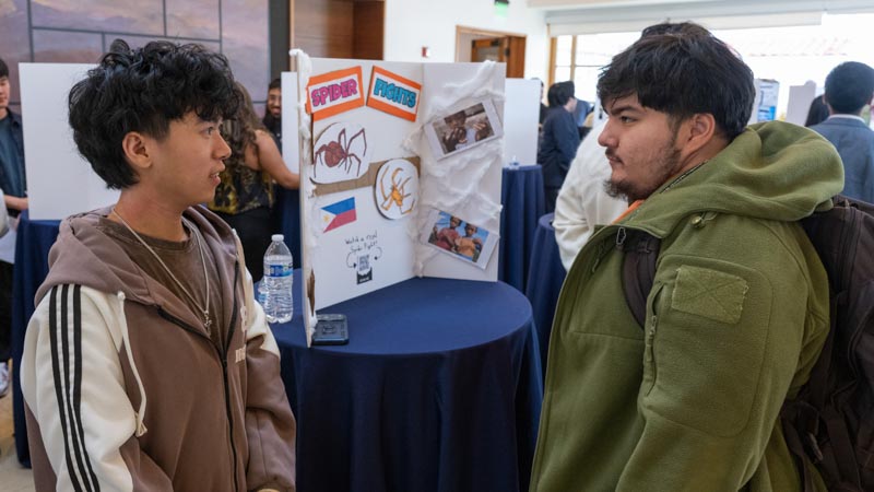 Nathan Serrano shares his museum exhibit about Filipino spider fights with visitors. Nathan Serrano shares his museum exhibit about Filipino spider fights with visitors.
