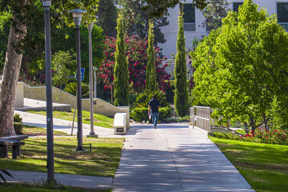 A lone person walks the campus