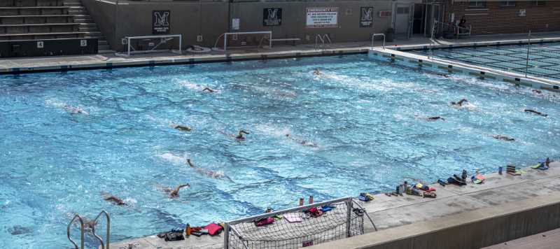 Swimmers in the pool