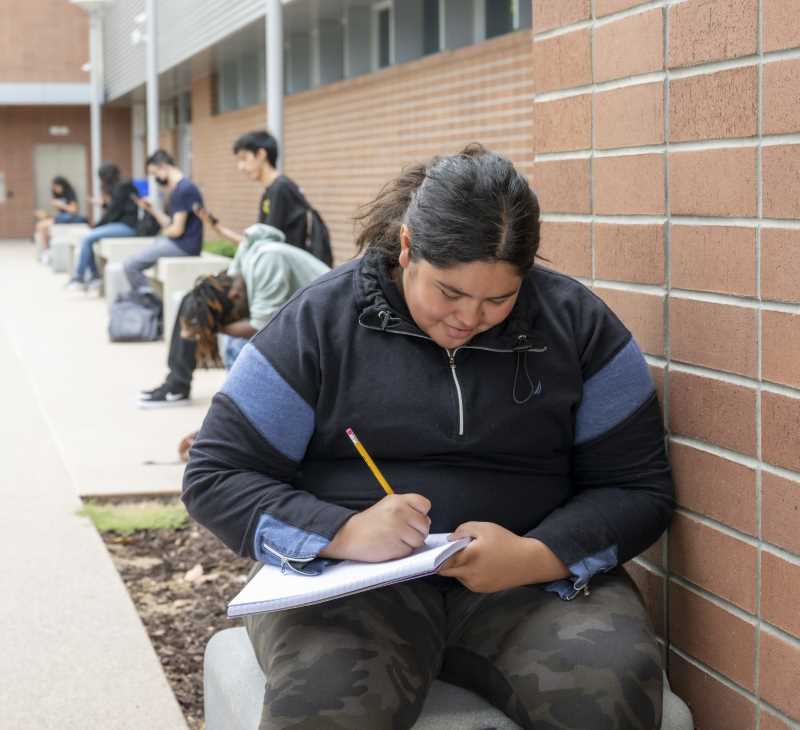 A student studies