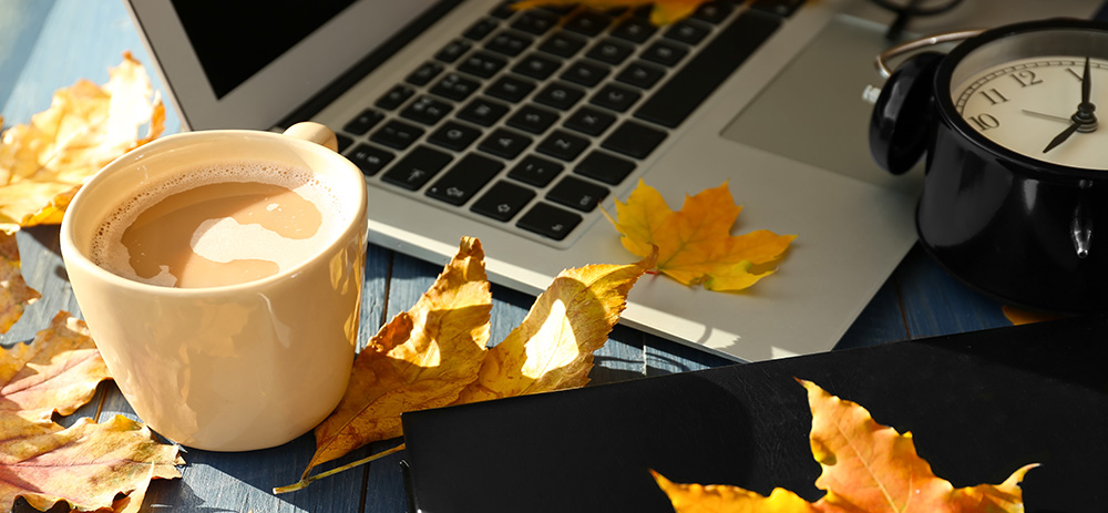 leaves and a laptop