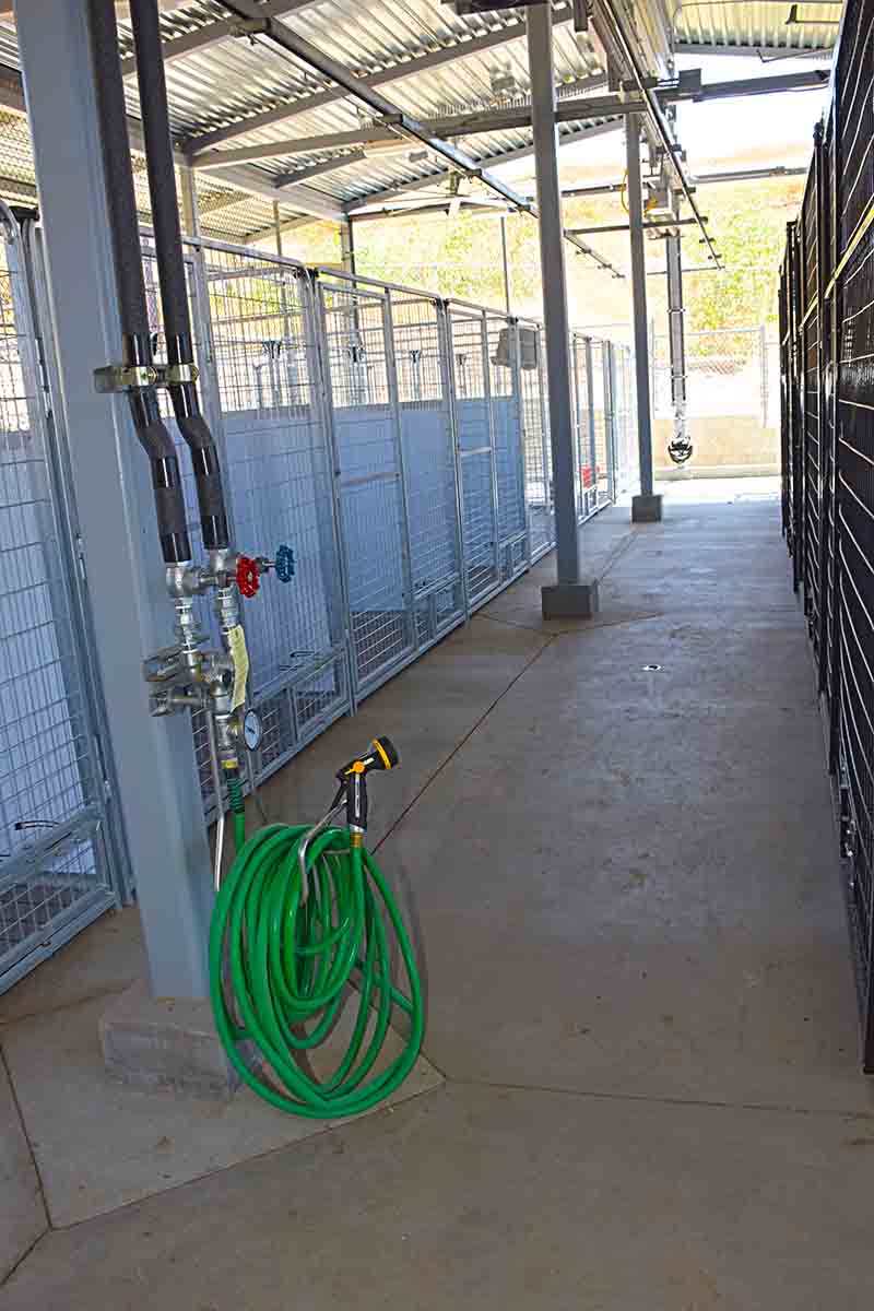 New Greyhound Rescue facility