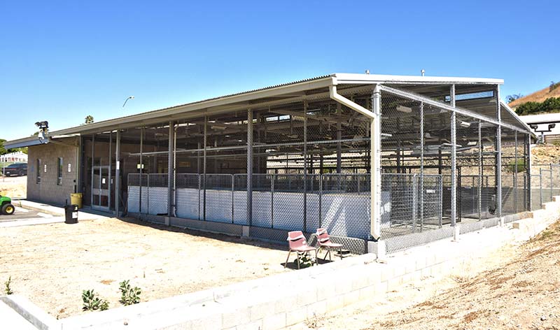 New Greyhound Rescue facility