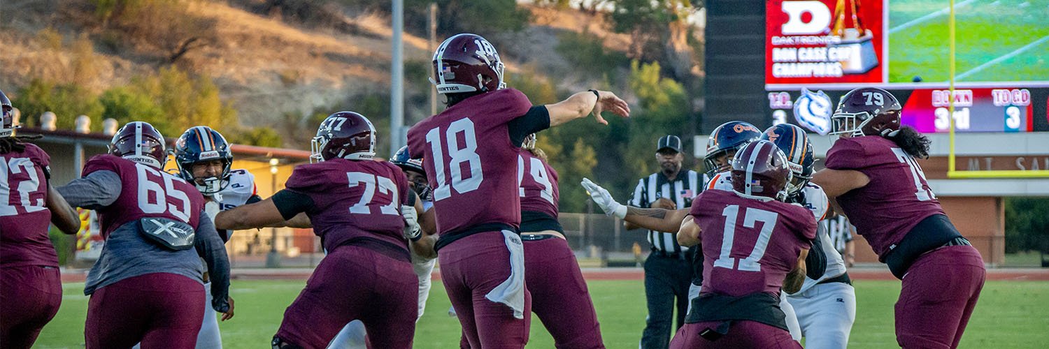 Football team throws a pass