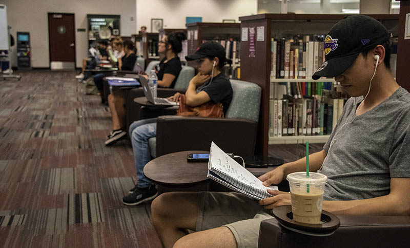 Students enjoying the library