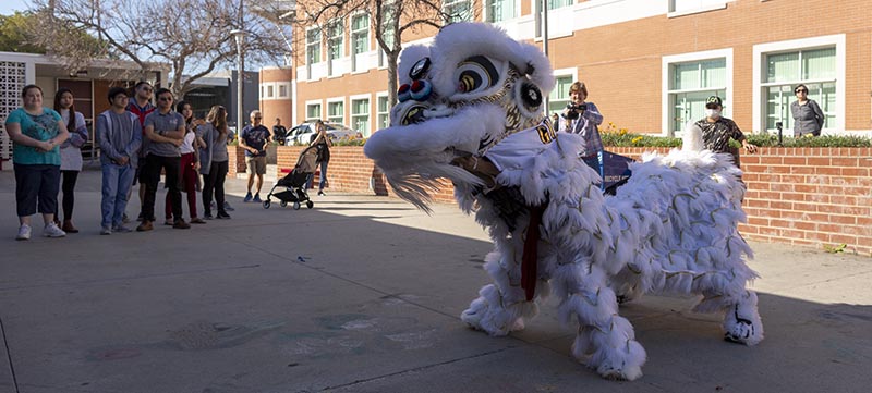 Lion Dance