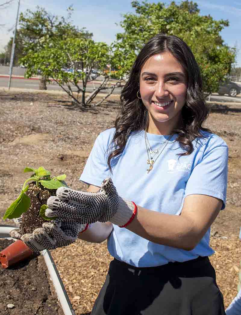 Student gardening at REACH garden