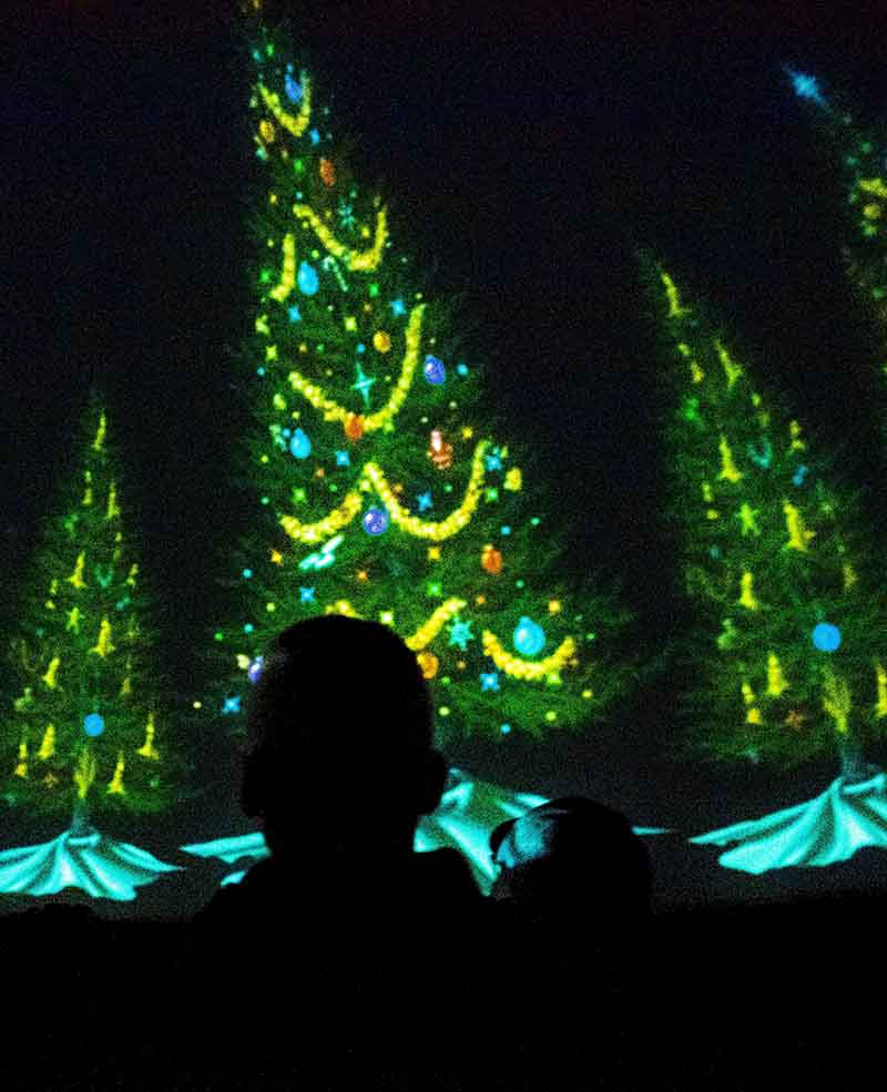 Season of Light show in Planetarium