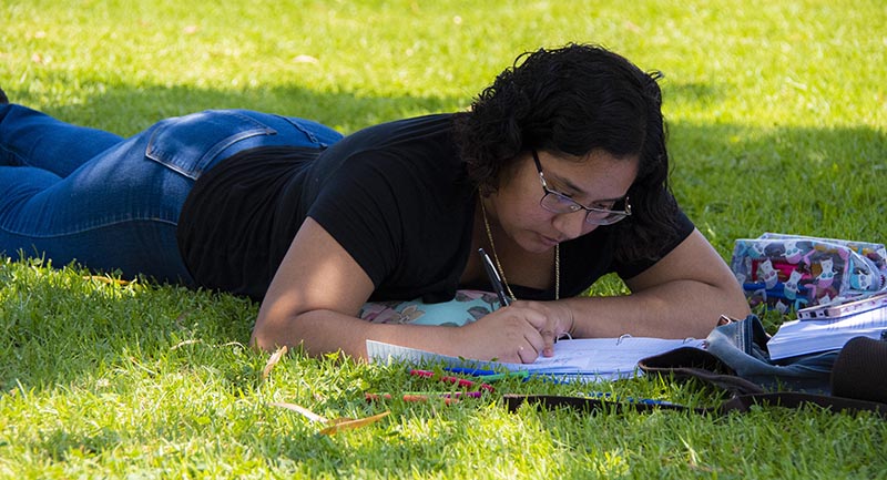 A student studies between classes